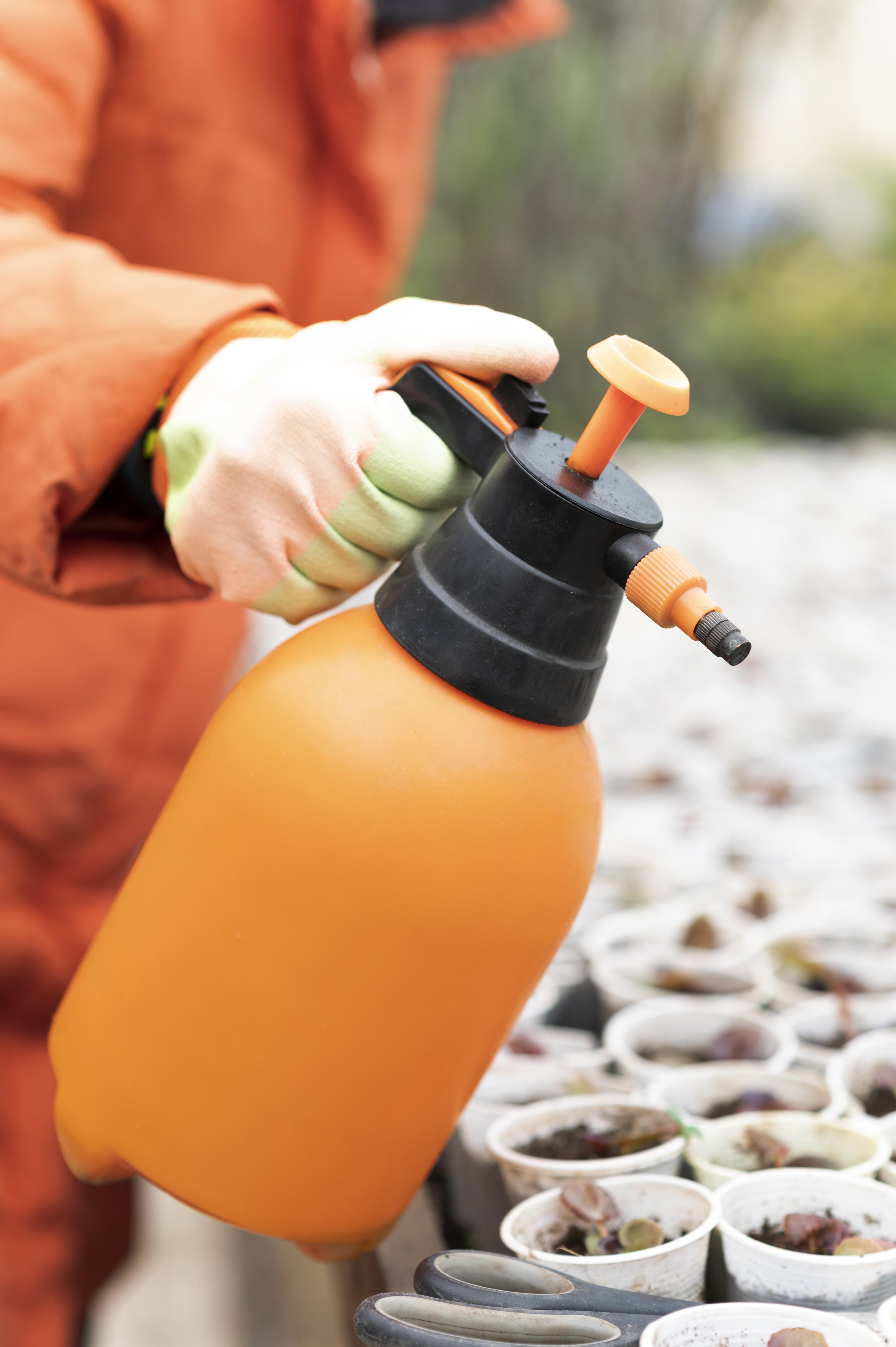 Pest & Disease Management