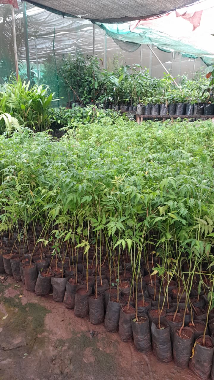 horticulture Nursery