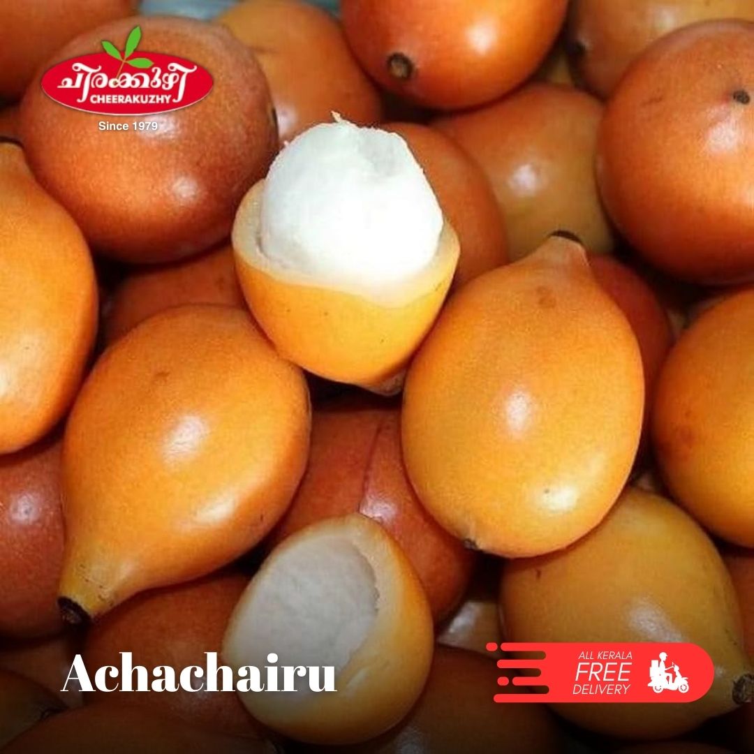 Horticulture Nursery