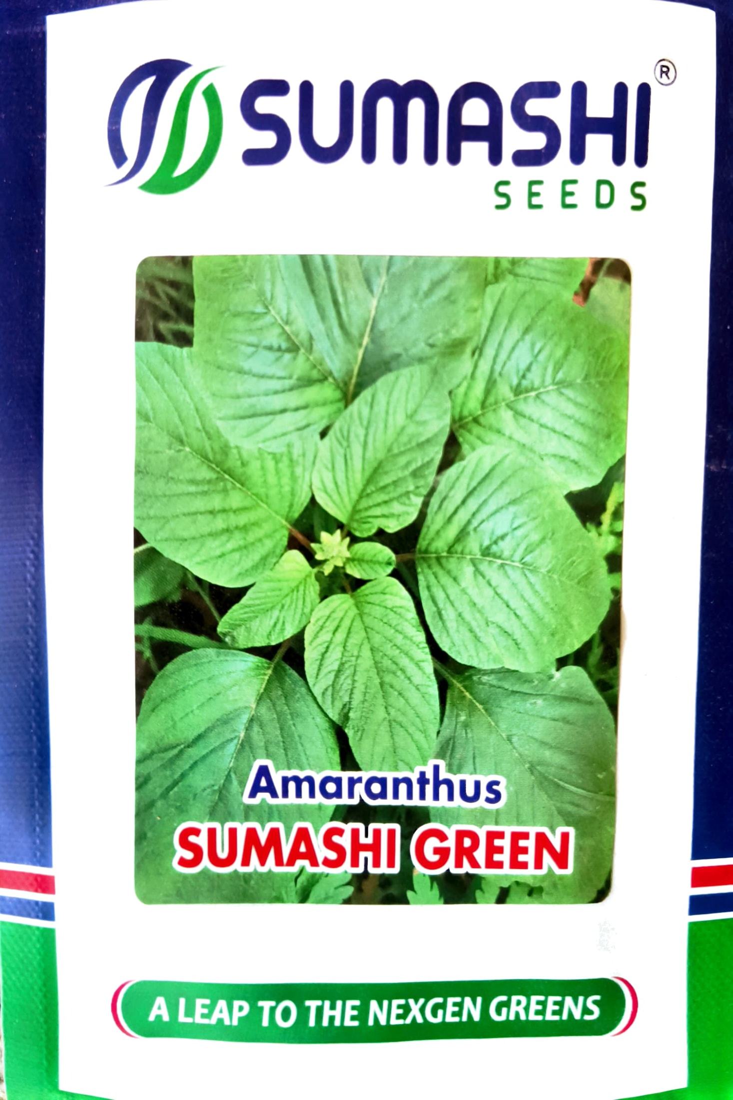 Amaranthus - Green - Seeds (sumashi)
