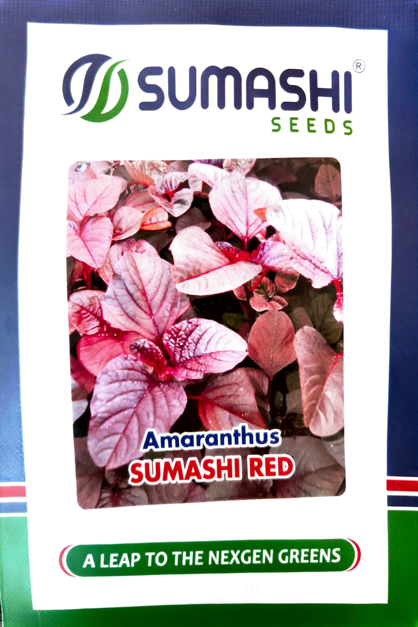 Amaranthus - Red - Seeds (sumashi)