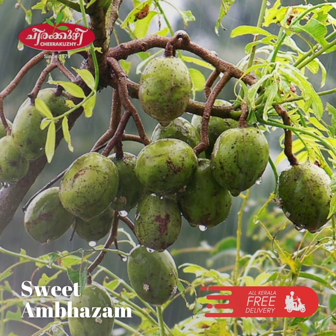 Horticulture Nursery