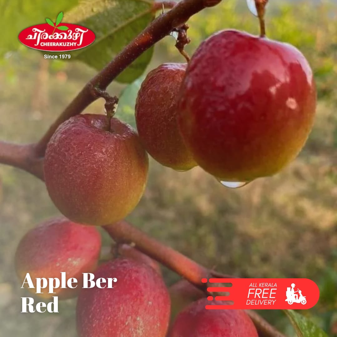 apple ber red