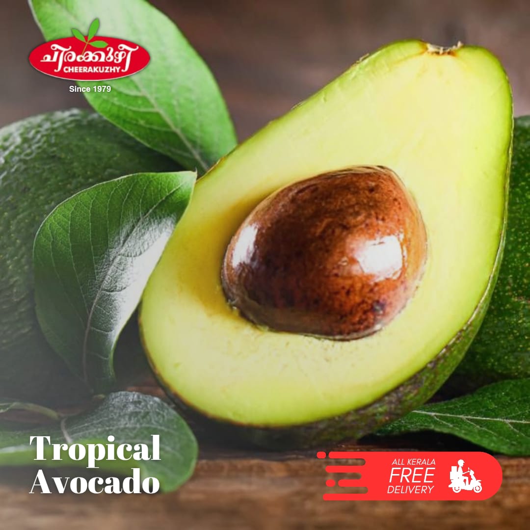 avocado tropical