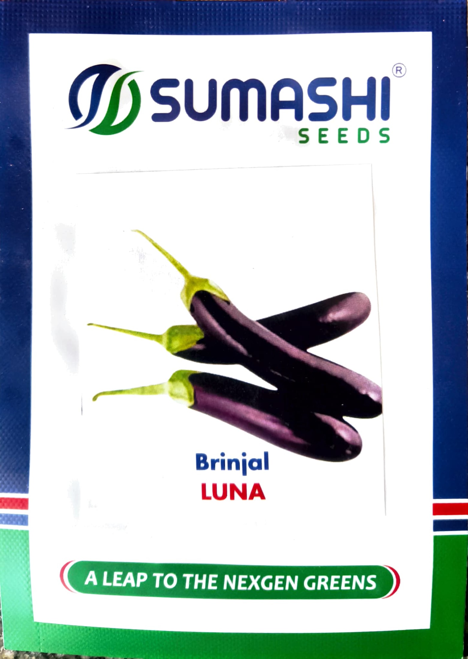 Brinjal - Seeds (luna)
