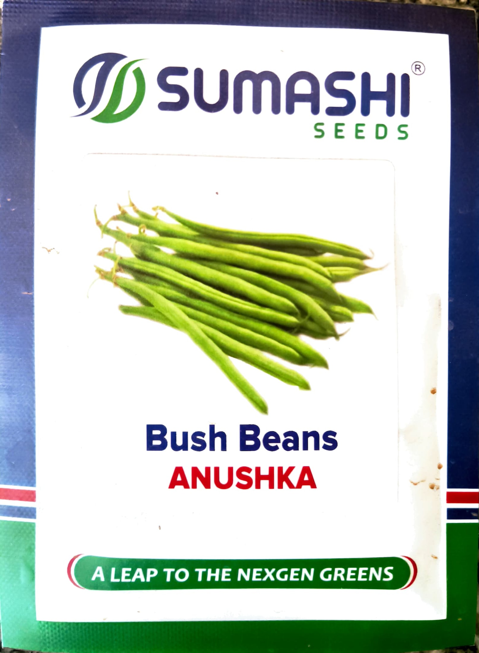 Bush Beans - Seeds (anushka)