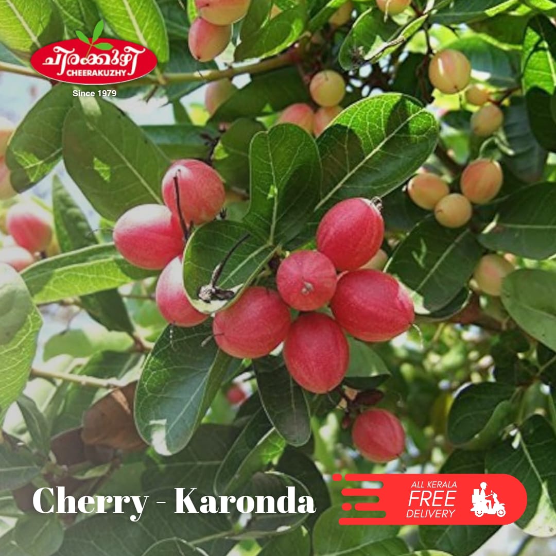 cherry karonda
