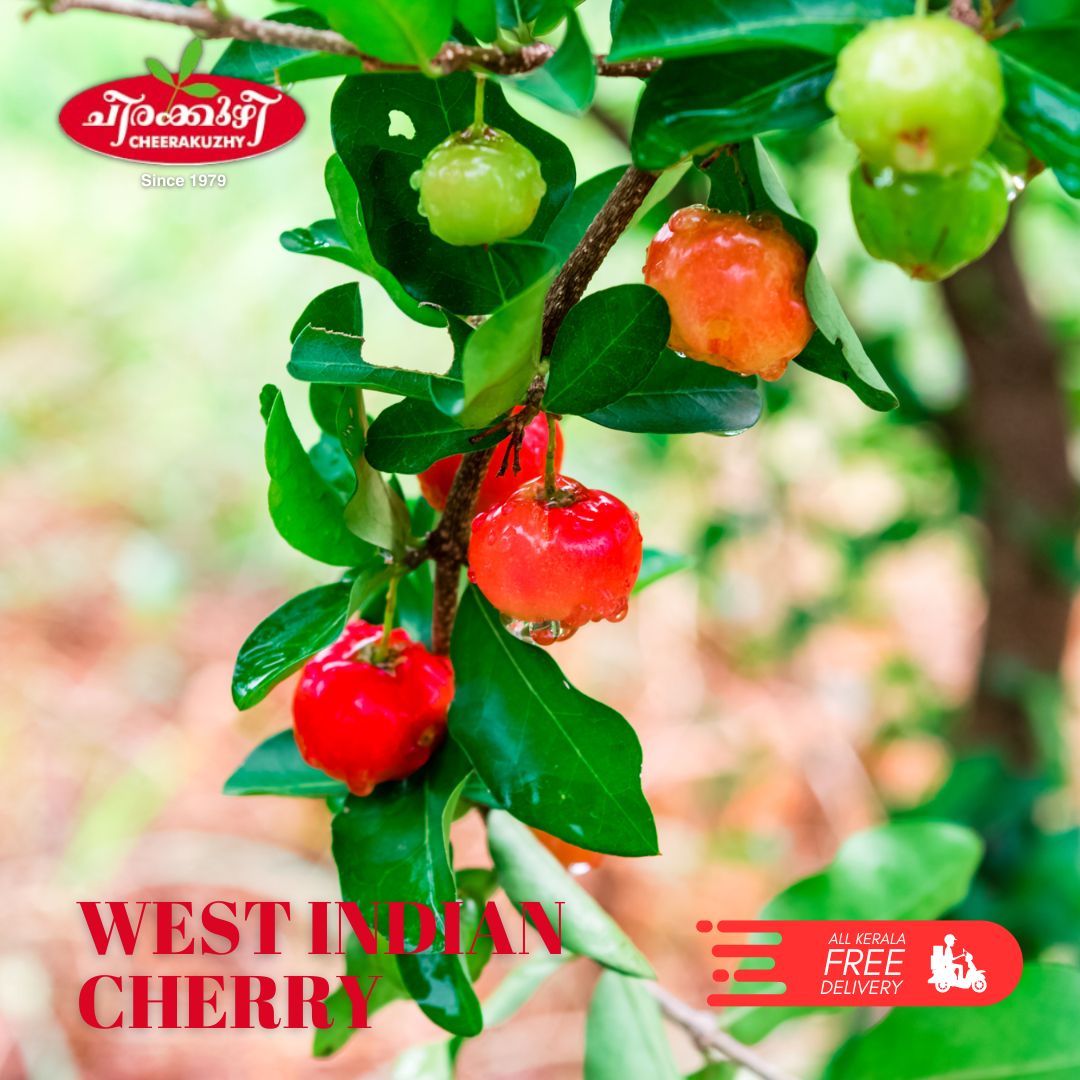cherry west indian