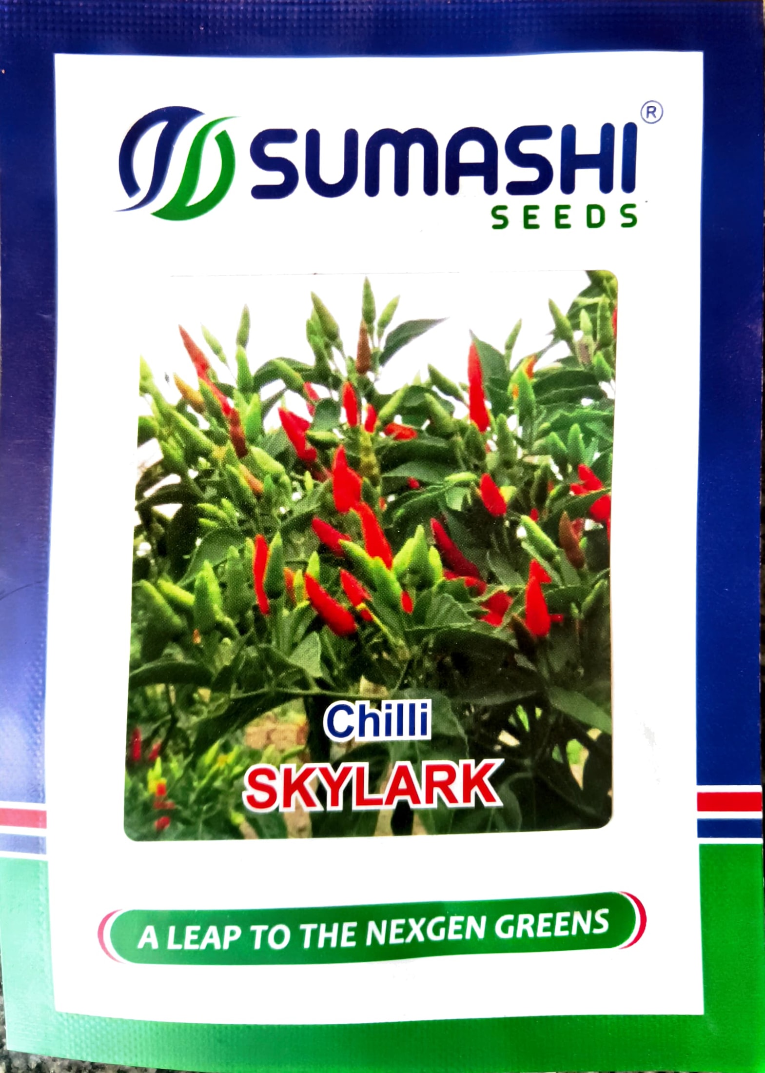 Chilli - Seeds (skylark)