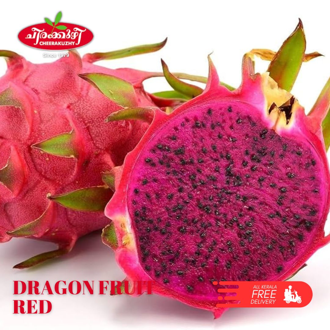dragon red