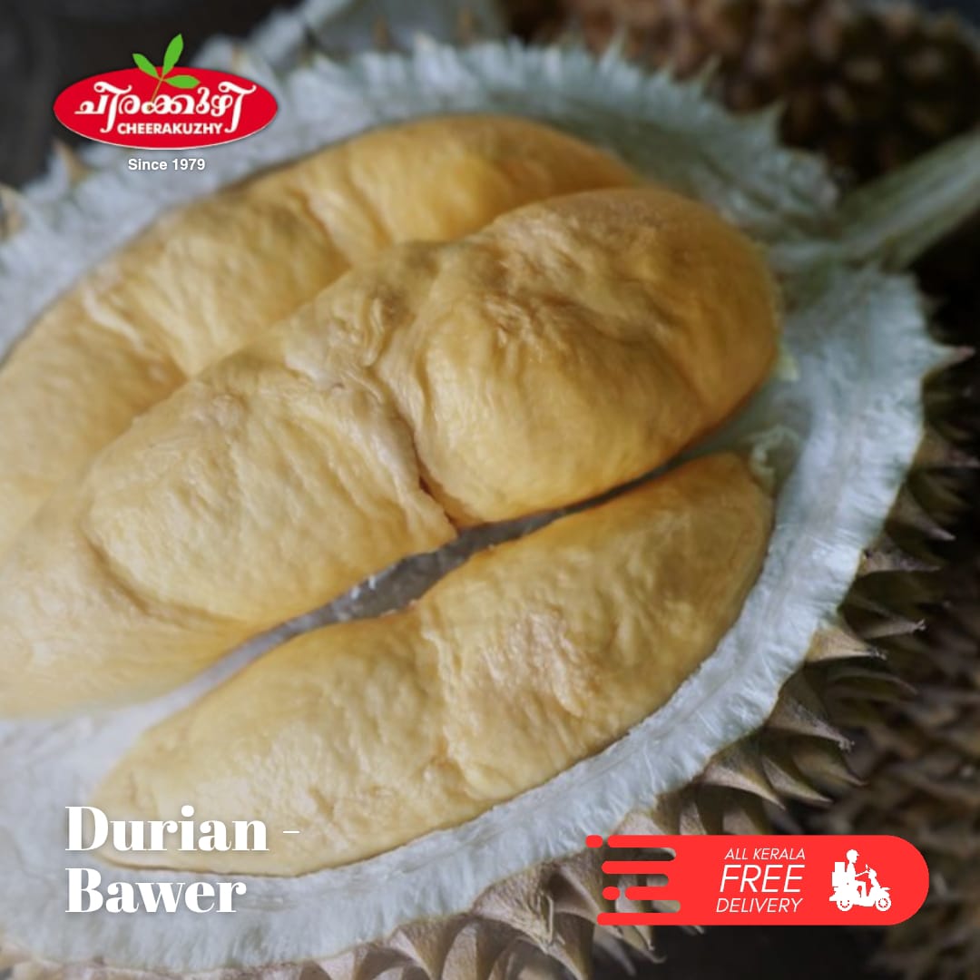 durian bawer