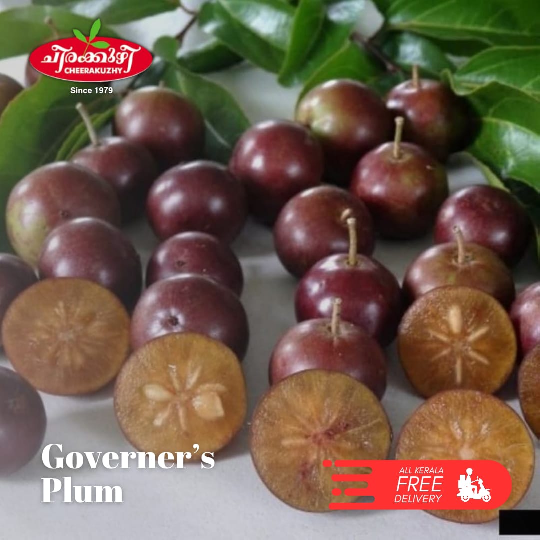 governor's plum