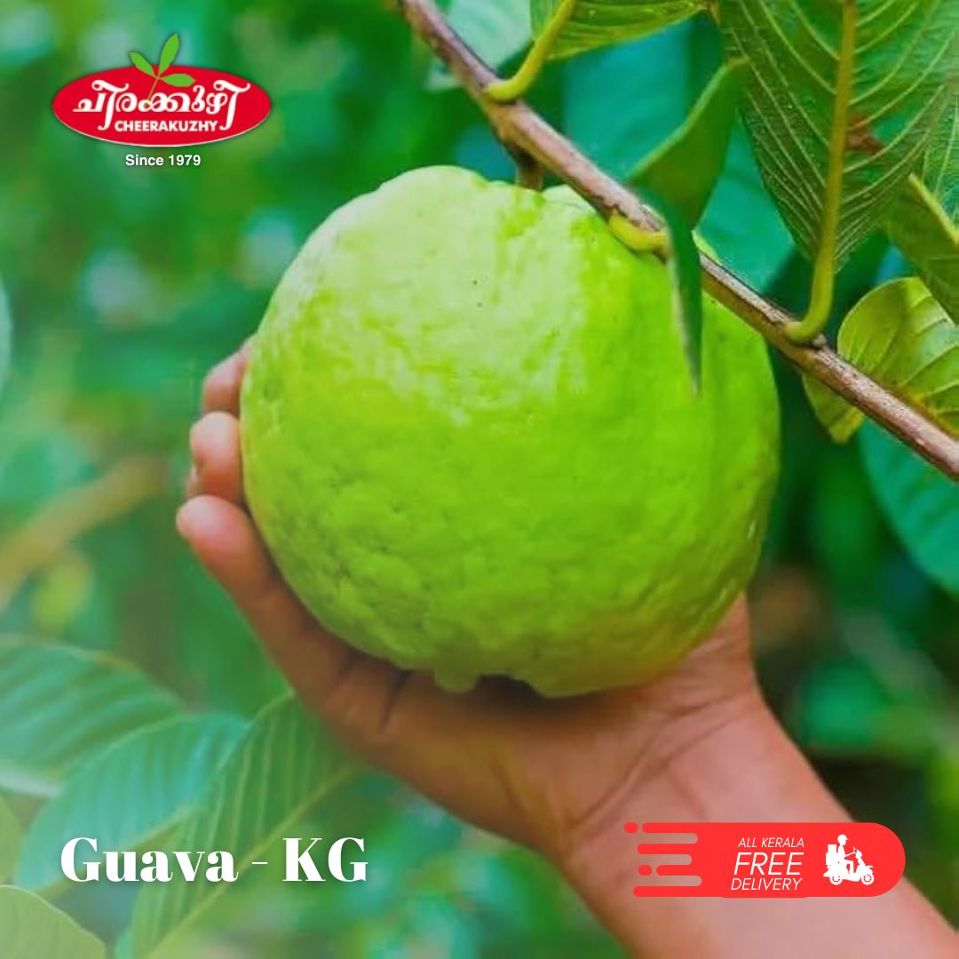 guava kg
