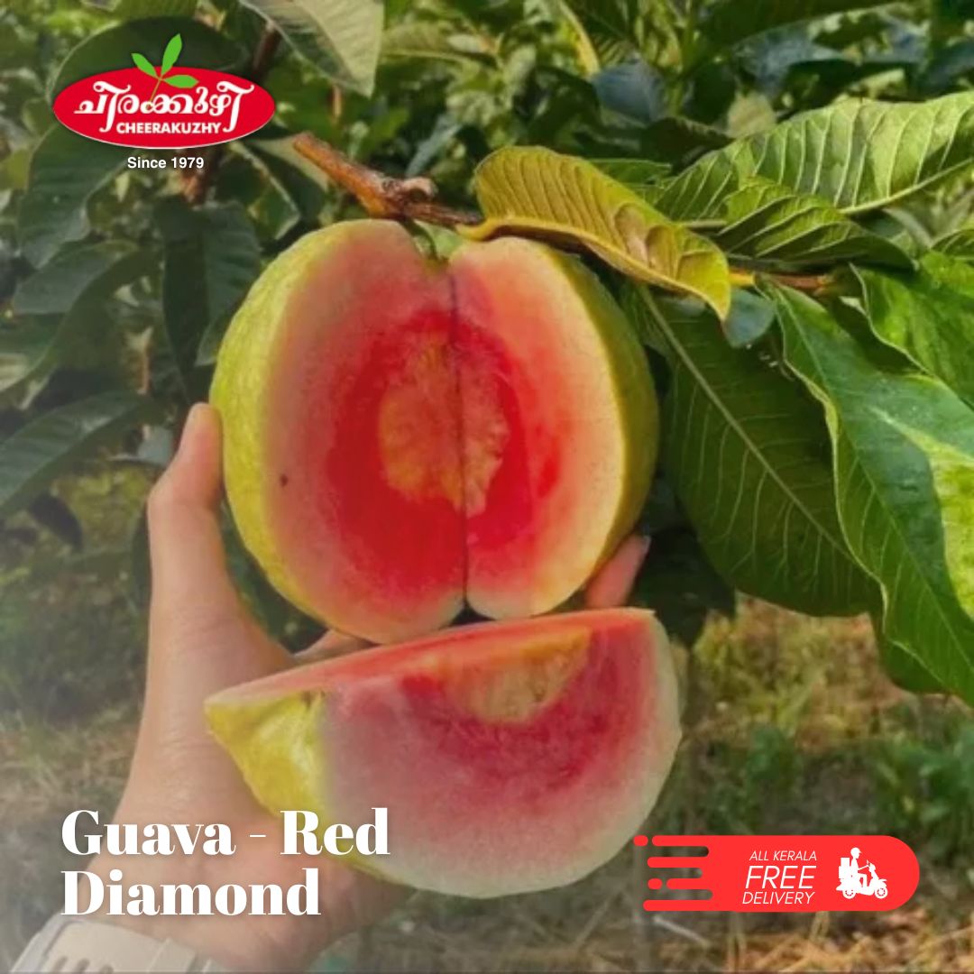guava red daimond