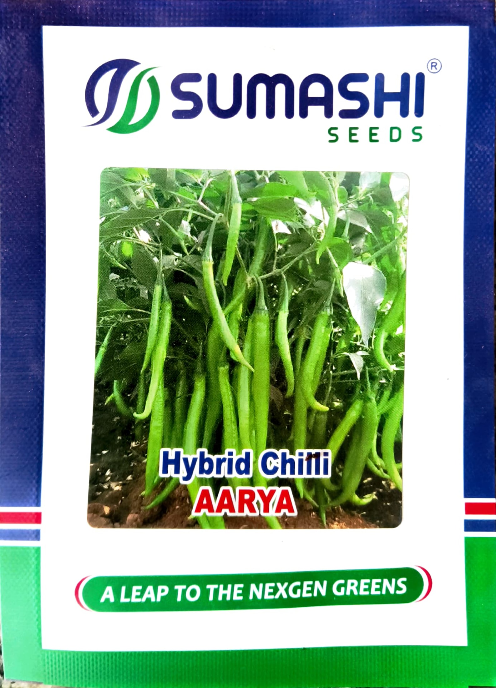 Hybrid Chilli - Seeds (Arya)
