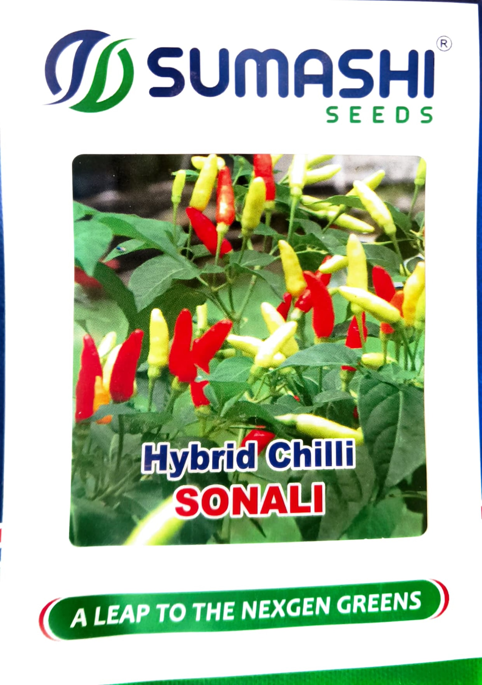 Hybrid Chilli - Seeds (sonali)