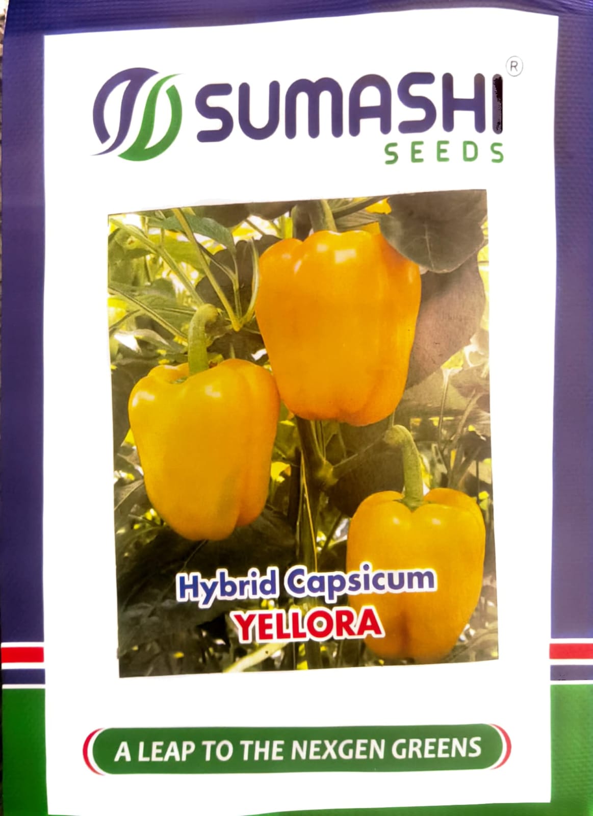 Hybrid Capsicum - (Yellora)