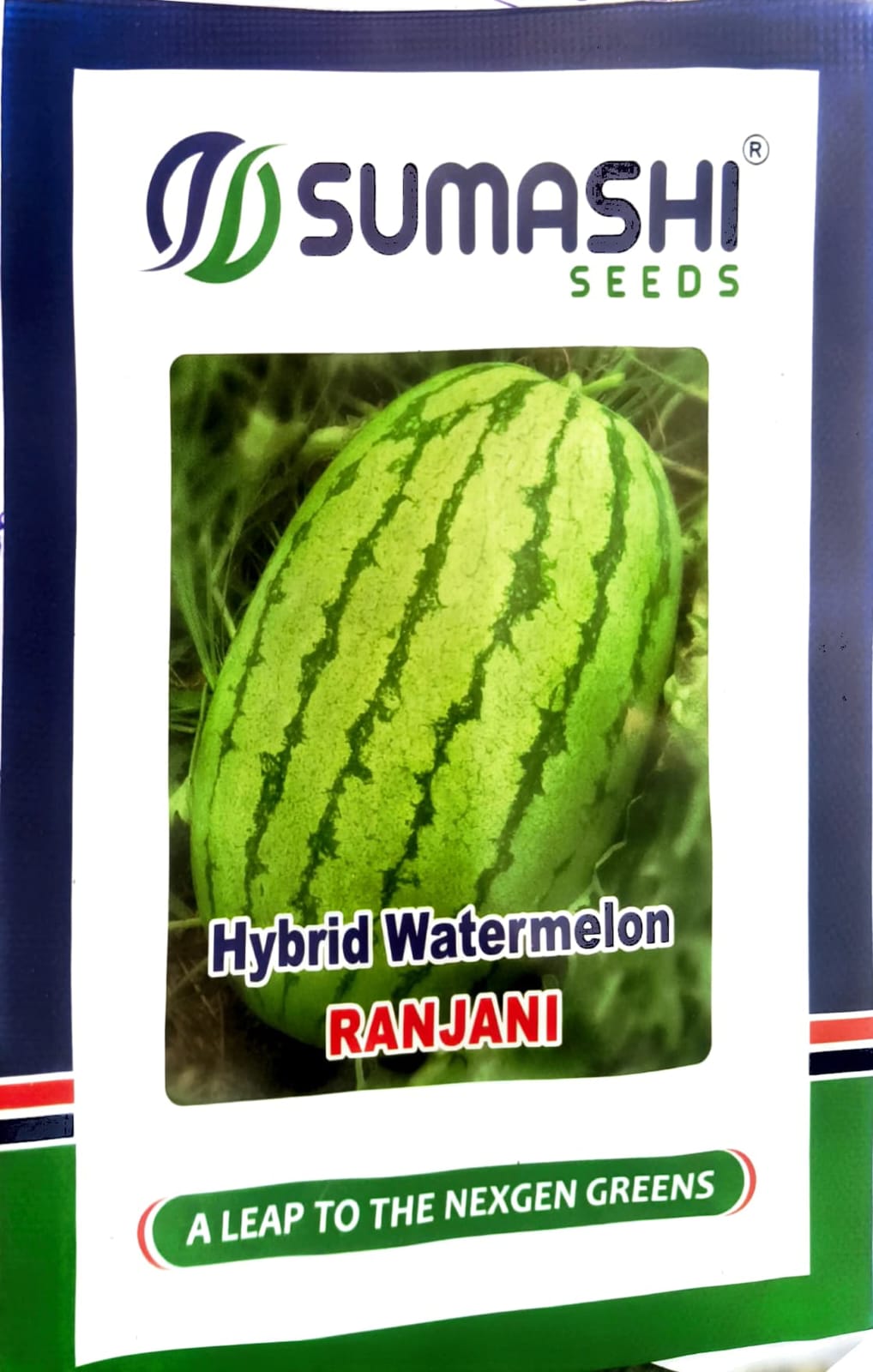 Hybrid Watermelon Seeds (Rajani)