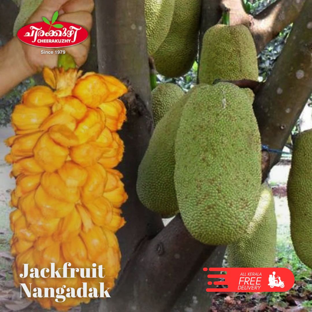 jack fruit - nangadak