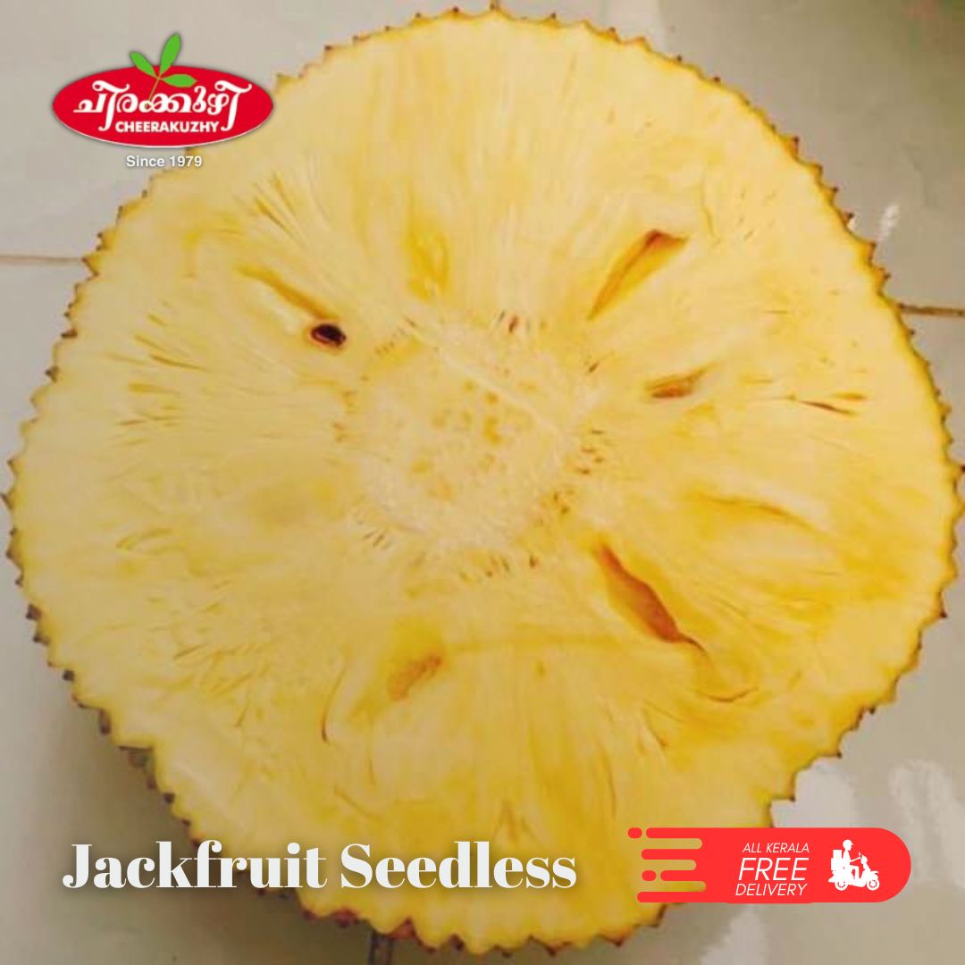 jack fruit seedless