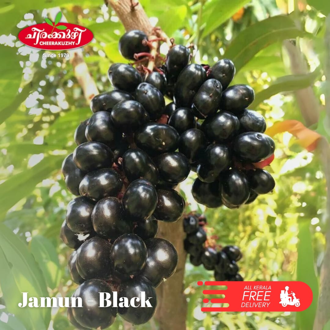 jamun black