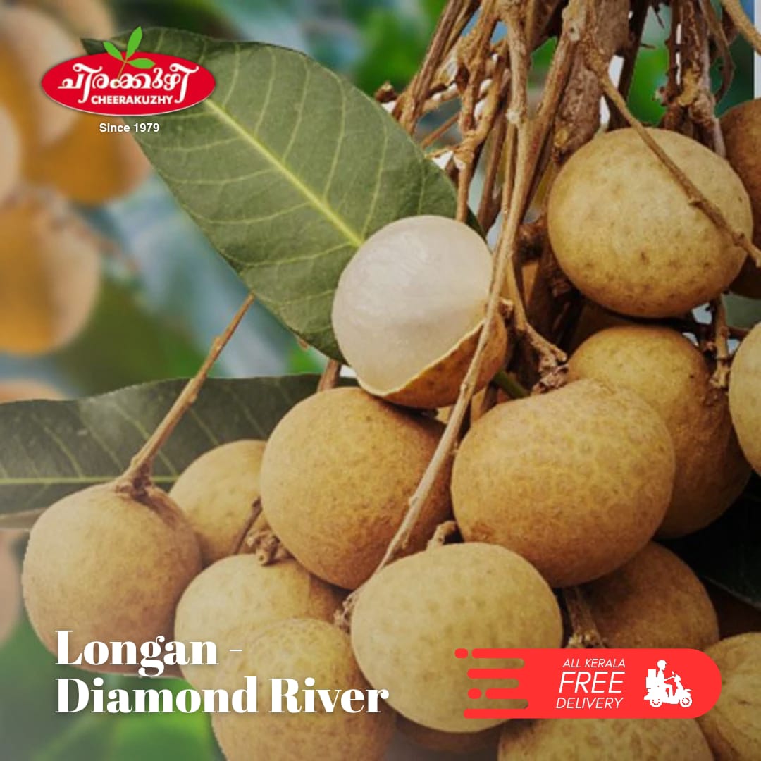 longa - daimond river