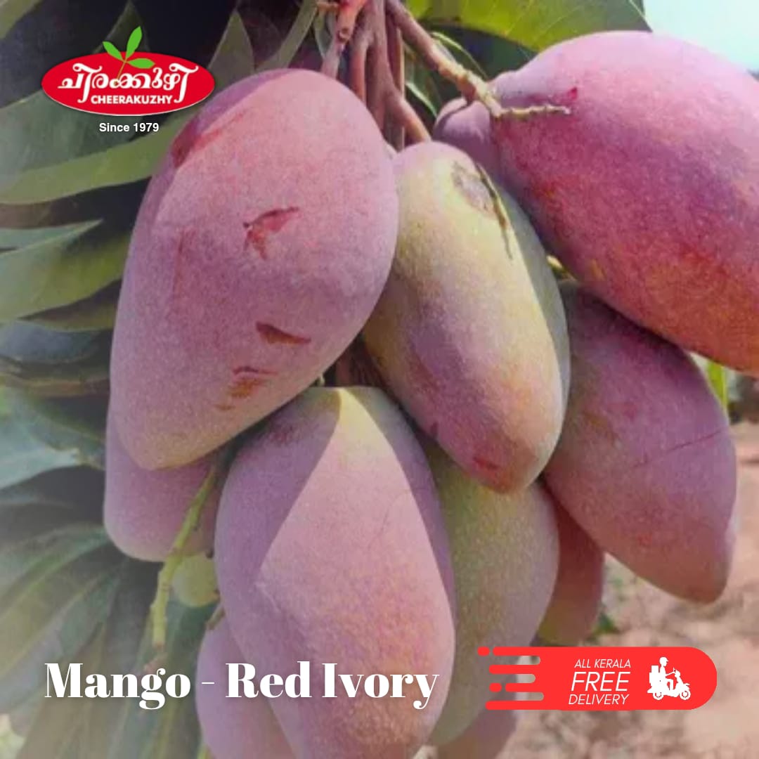mango - red ivory