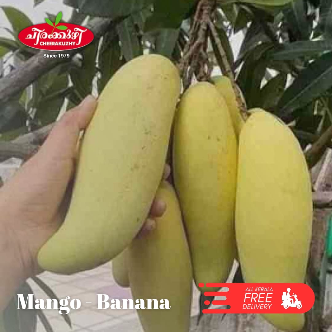 mango - banana