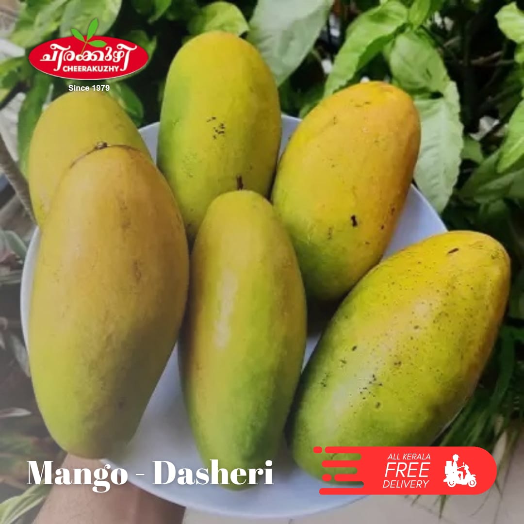 mango - dasheri