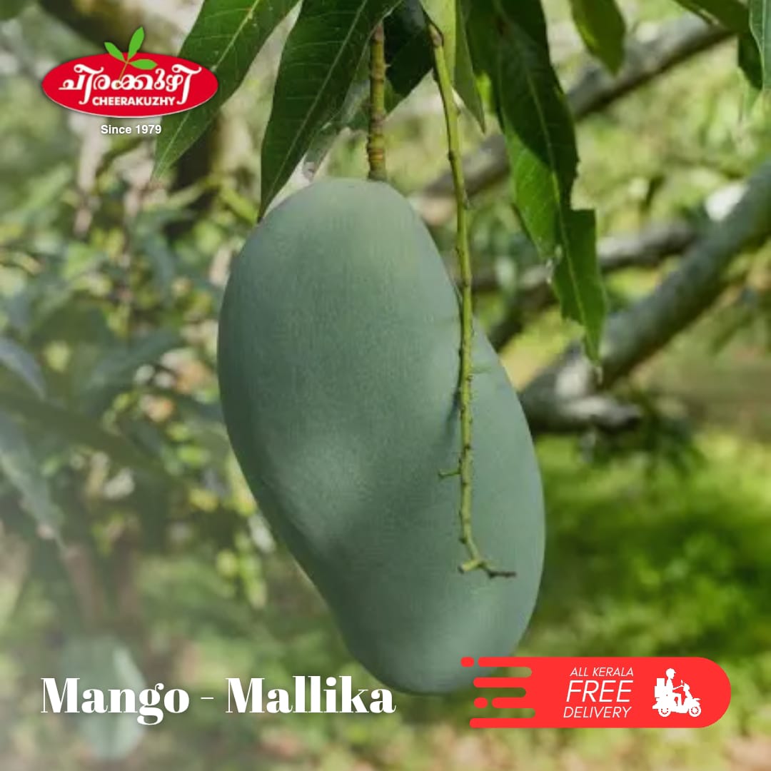 mango mallika