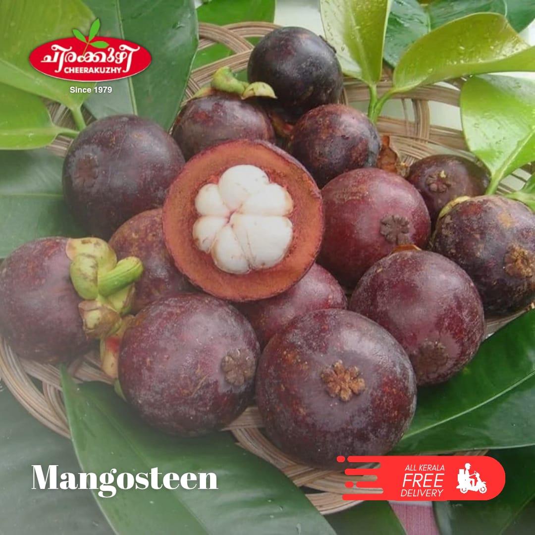mangosteen