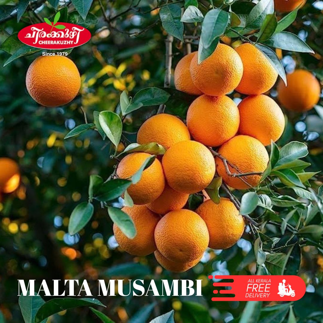 musambi malta
