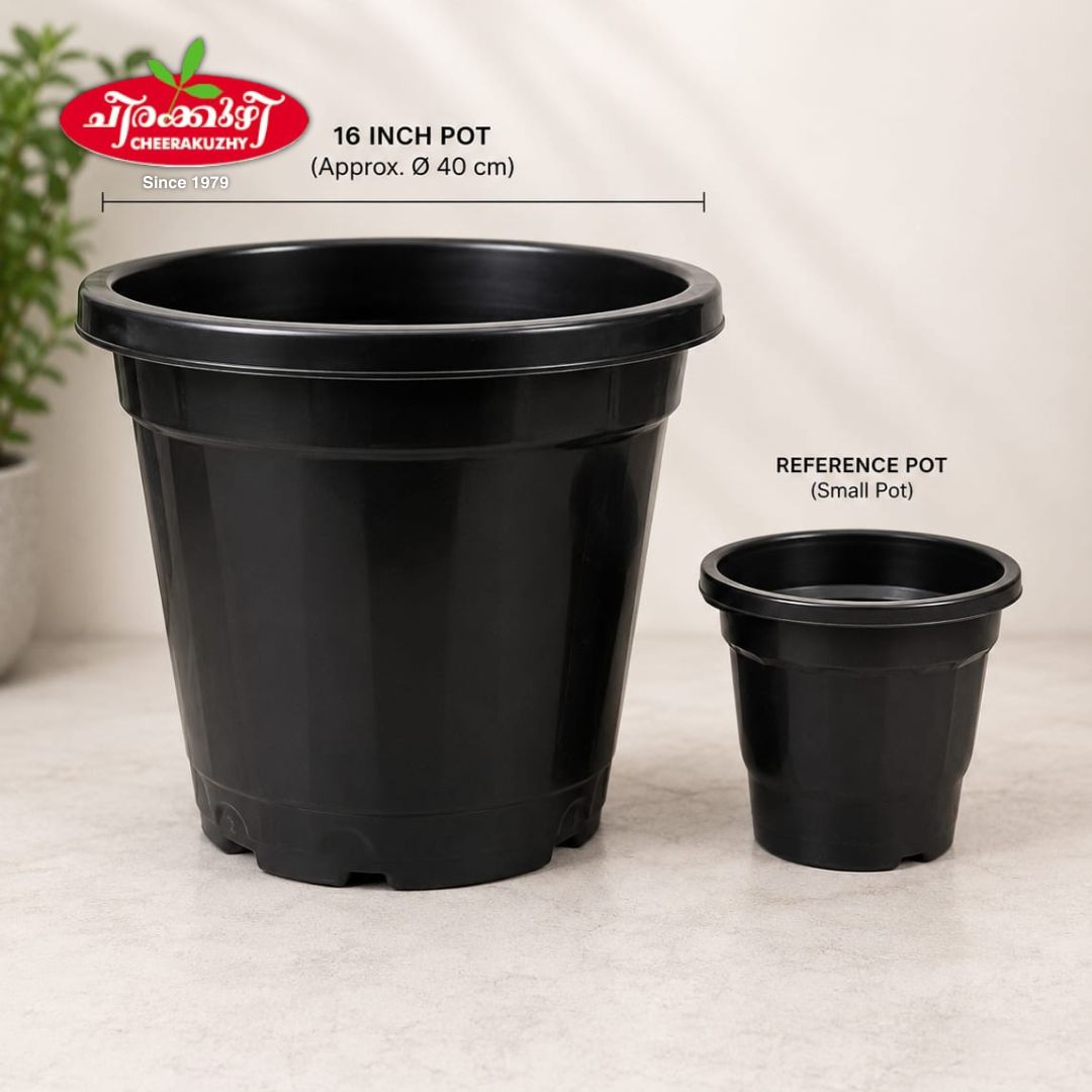 Plastic Pot - Black - 16 Inch