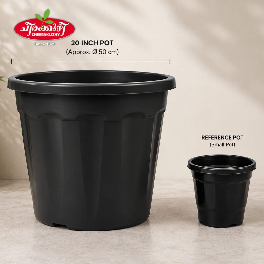 Plastic Pot - Black - 20 Inch