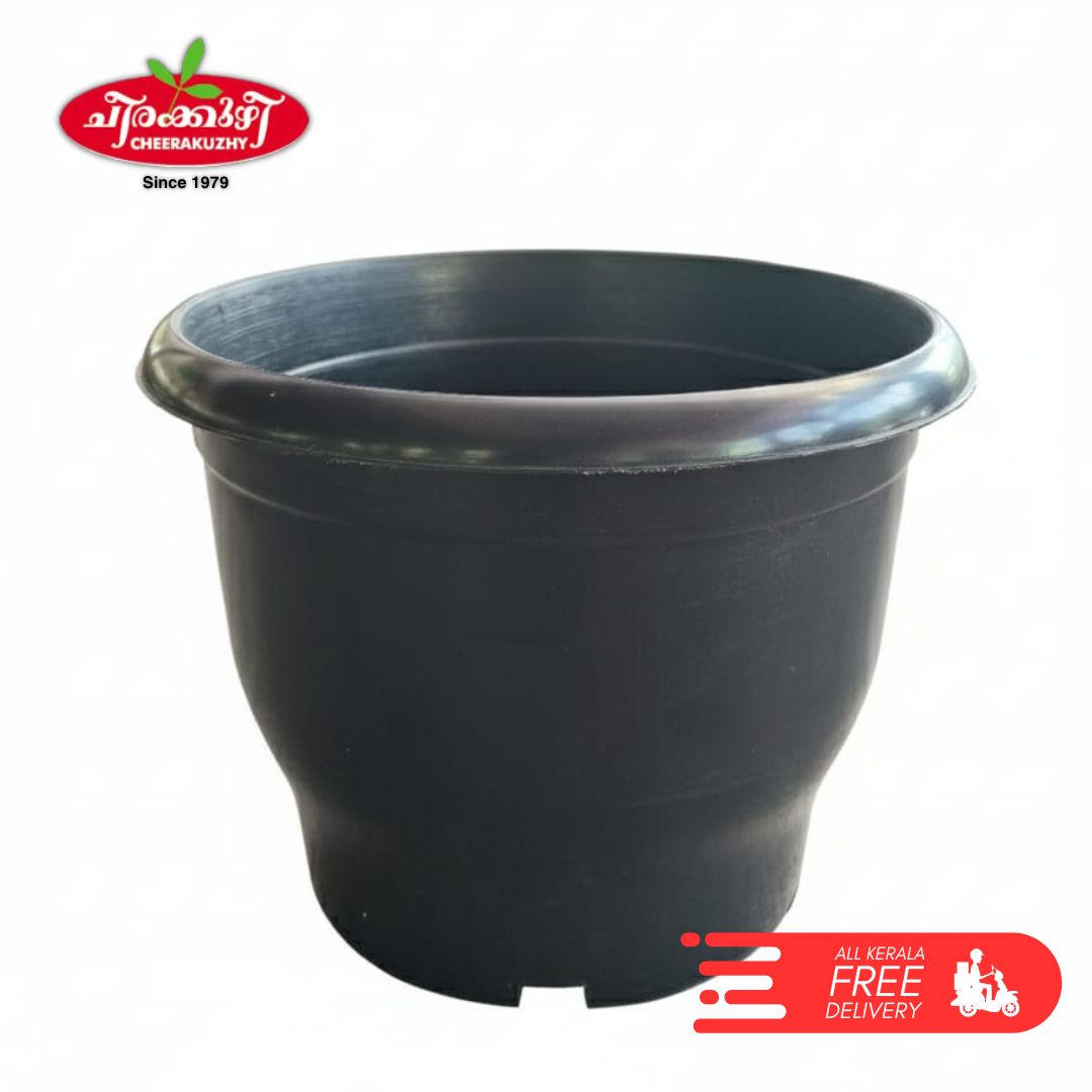 Plastic Pot - Black - 8 Inch