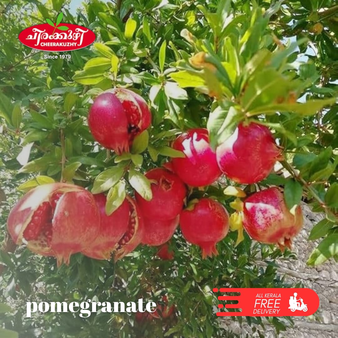 Pomogranate