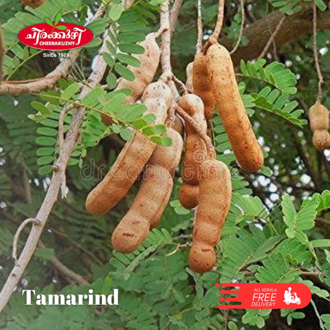 tamarind (puli)
