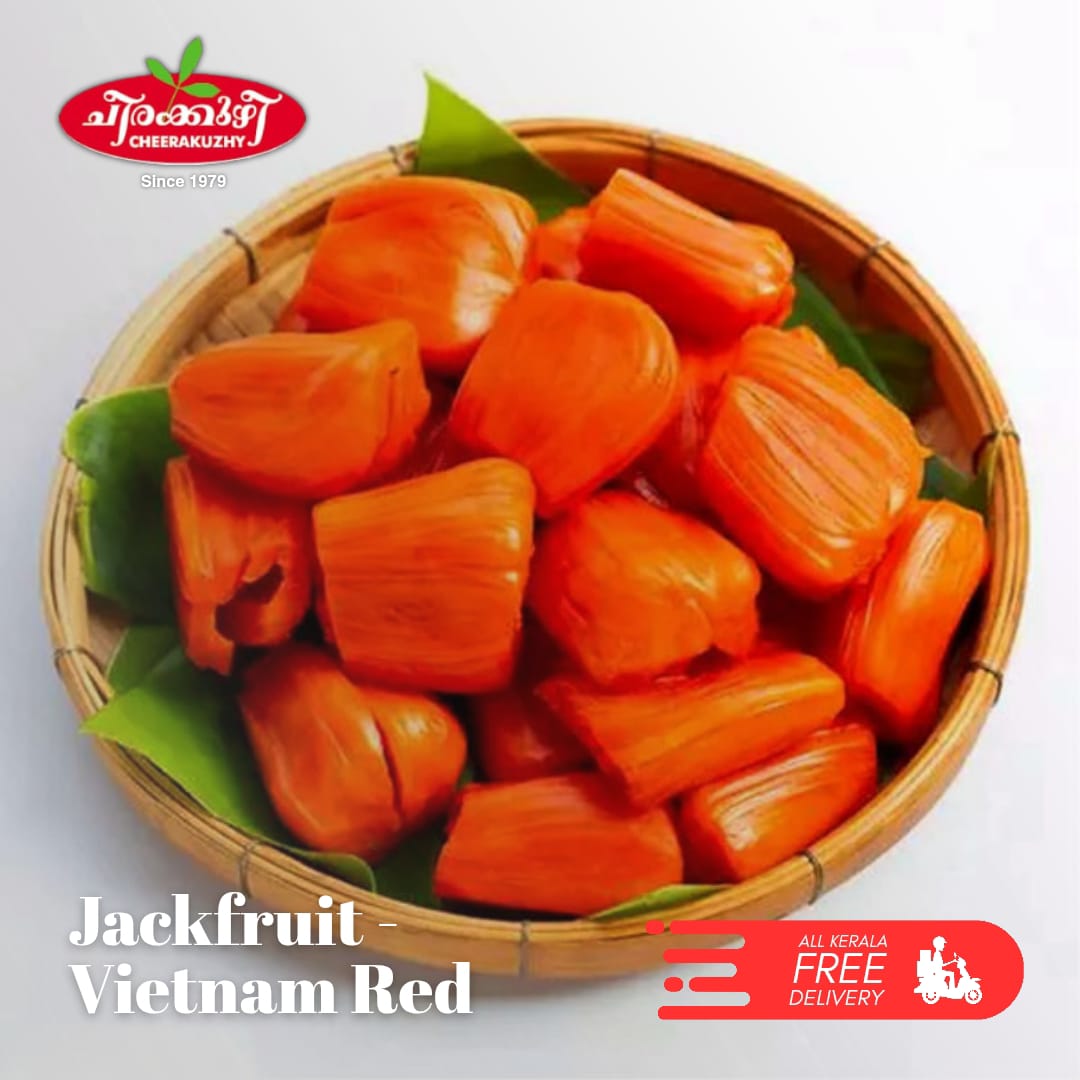 jack fruit vietnam red