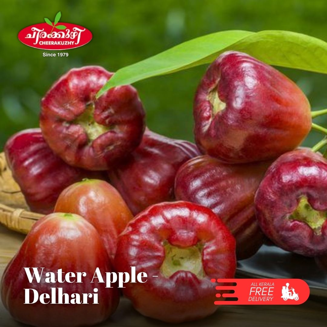 Water Apple - Delhari