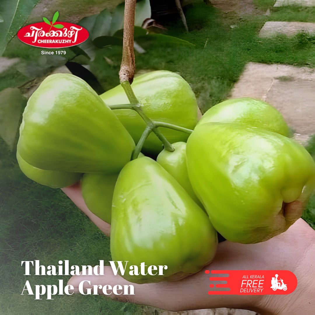 water apple - green