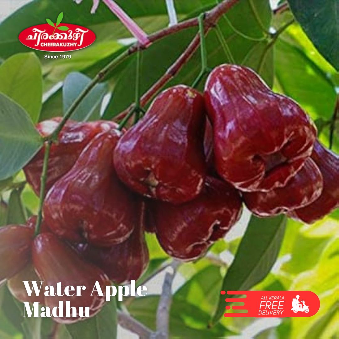 water apple - madhu