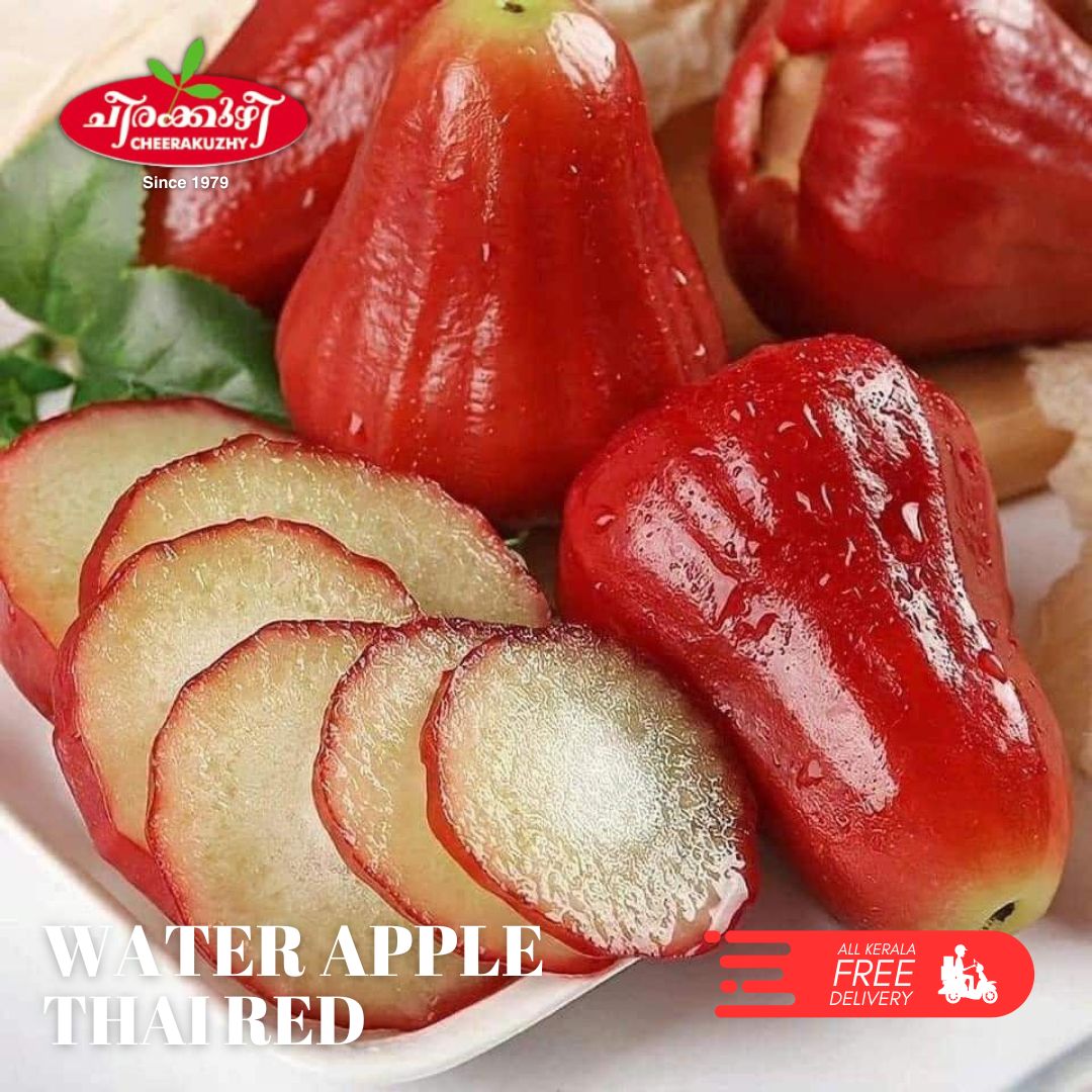 water apple - thailand red